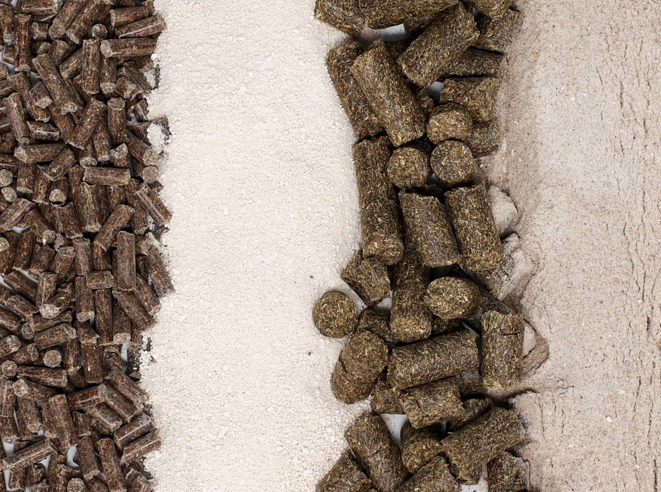 Equine_multiple--1300x967 animal products